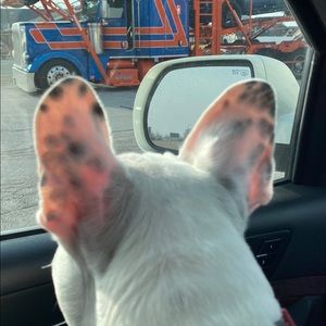 Meet your Posher, Gina